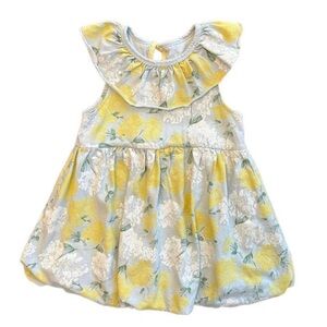 ⭐️Burt’s Bees Baby sky hydrangea organic cotton dress with bubble hem size 24 mo